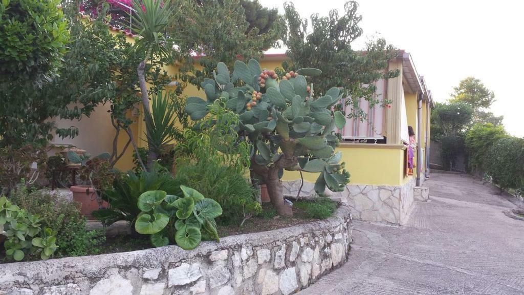 Villa Natura Sea View Βιέστε Εξωτερικό φωτογραφία