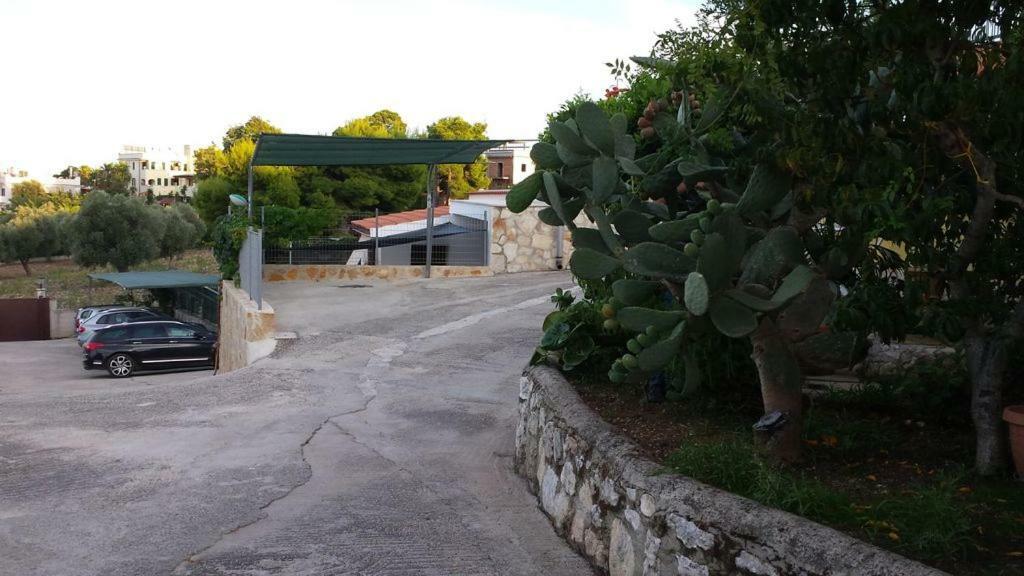 Villa Natura Sea View Βιέστε Εξωτερικό φωτογραφία